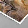 Poster - Poster ohne Rahmen - Löwe Natur Tier - 70x50 cm - Produktbild-Vorschau 2