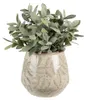 Clayre & Eef Blumentopf Ø 14x13 cm Grün Beige Keramik Produktbild-Vorschau 2