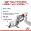 Royal Canin Babydog Milk, Milchpulver, Hund, Welpe, 400 g Produktbild-Vorschau 4