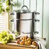 A stainless steel steam juicer with a glass lid, placed on a wooden surface next to a bunch of green grapes and some apricots. Náhľad obrázku produktu