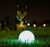 Chuckit Max Glow Medium 2 pezzi. Anteprima dell’immagine prodotto 7