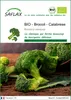SAFLAX  -- Brocoli - Calabrese - 100 graines - Brassica Voir les images du produit 1