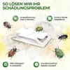 Käfer Falle mit Spezial-Lockstoff – 3x Fallen – Sicher & Produktbild-Vorschau 3