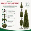 Triumph Tree Bristlecone Fir Pilar - Smalle Kerstboom voor Productafbeelding-voorbeeld 6