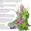 Wechseljahre Komplex Vegan 720 (4x180) Kapseln Menopause Produktbild-Vorschau 4