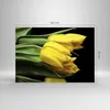Bilder auf glas - Tulpen Strauß Spiegelreflexion grün - Produktbild-Vorschau 3