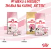 Marketing image showing Royal Canin cat food for different life stages, with text indicating a change in food at 4 months. Produktbild-Vorschau