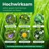 PROTECT GARDEN Universal-Rasenunkrautfrei Loredo Quattro Produktbild-Vorschau 3