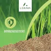 LERAVA CHAMPION 300m² - Rasensamen dürreresistent - Produktbild-Vorschau 2