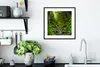 MuchoWow® Gerahmtes Poster Natur - Wasser - Dschungel - Produktbild-Vorschau 4