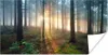 MuchoWow® Poster Wald - Baum - Pflanze 40x20 cm - Poster Produktbild-Vorschau 1