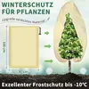 Protezione invernale per piante 85 g/m² Beige 80*100cm 3 Anteprima dell’immagine prodotto 2