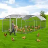 Pollaio Izrielar 3x6x2 m con tetto a cupola, recinto Anteprima dell’immagine prodotto 1