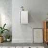 A white wall-mounted cabinet with a mirror on a light gray wall, next to a wooden cabinet and plants. Produktbild-Vorschau