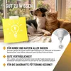 ReaVET mmun Aufbau Tropfen 100ml Produktbild-Vorschau 6