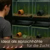 Aquarium Höhle Schwarz Garnelen Versteck Aquarium Welshöhle Produktbild-Vorschau 7