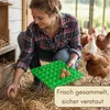10 Kunststoff Eierlagen Mehrweg Eierhorden aus Plastik für Produktbild-Vorschau 6