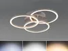 Trio LED Deckenleuchte Circle Nickel matt Ø43,5cm 27W Produktbild-Vorschau 7