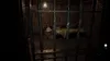 Capcom Resident Evil 7 biohazard - Gold Edition, Produktbild-Vorschau 5