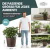 XXL Pflanzkübel „Millennium“ Ø59xH49 cm - 80L - Braun - Produktbild-Vorschau 5