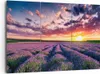 Bild auf Leinwand - Leinwandbild - Lavendel Berge Feld - Produktbild-Vorschau 1