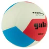 Volejbalový míč Gala Training Bv5475s Náhled obrázku produktu 2