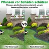 XINZI Rasenkante Kunststoff Beeteinfassung Produktbild-Vorschau 3