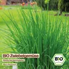 Samenliebe  Winterheckenzwiebel Samen | Zwiebelgemüse - Produktbild-Vorschau 4