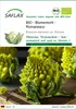 SAFLAX - BIO - Blumenkohl - Romanesco - Brassica oleracea Produktbild-Vorschau 1