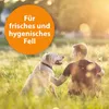 Shampoo ARDAP® Anti-Zeckenshampoo für Hunde 250 ml mit Produktbild-Vorschau 3