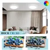 A living room scene with two ceiling lights, a sofa, and a coffee table, with close-ups of blueberries at the bottom. Produktbild-Vorschau