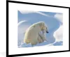 MuchoWow® MuchoWow® Gerahmtes Poster Eisbär - Tiere - Produktbild-Vorschau 1