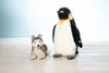 Steiff Husky Bernie 33 cm liegend 067891 Produktbild-Vorschau 2