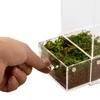 Repti-Zoo Terrarium en acrylique facile à nettoyer Voir les images du produit 3