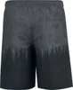 Black Premium by EMP Herren grau-schwarze Badeshorts mit Produktbild-Vorschau 2