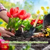 3 Stück Mini Gartenwerkzeug Set, Gartenschaufel Klein Produktbild-Vorschau 2