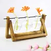 Pflanzenvasen, Terrarium-Stecklinge – Holzhalter mit Glas – Produktbild-Vorschau 3