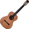Prodipe Guitars STUDENT 4/4 Podgląd zdjęcia produktu 3