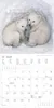 Alpha Edition - Tierbabys Kalender 2026 - Wandkalender Produktbild-Vorschau 17