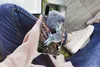 MuchoWow® Handyhülle Schutzhülle Hülle für Huawei P30 Koala Produktbild-Vorschau 3