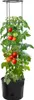 vidaXL Tomatentopf Anthrazit Ø39x150 cm Polypropylen Produktbild-Vorschau 1