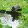 Ubbink Wasserspeier Schildkröte Produktbild-Vorschau 2