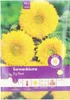 Pabst Keimkraft - Sonnenblume Big Bear Samen - 173590 Produktbild-Vorschau 3