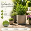 Pflanztopfuntersetzer Mira Anthrazit Ø 49cm - Frostsicher & Produktbild-Vorschau 8