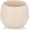 6 vasi rotondi per cactus color crema 10 cm con drenaggio, Anteprima dell’immagine prodotto 1