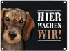 Metallschild mit Dackel Motiv und Spruch: Hier wachen wir! Produktbild-Vorschau 1