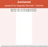 Kaminrost / Stehrost 270x110x8mm passend für Wamsler** Produktbild-Vorschau 2
