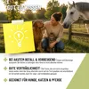 REAVET Milben Frei Spray 500ml, Milbenspray für Hunde, Produktbild-Vorschau 6