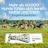 HUND IST KÖNIG Windeln für Hündinnen [3 Stk], L (Taille Produktbild-Vorschau 6