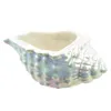 Bol en céramique coquille, perle blanche, 8x19 cm Voir les images du produit 5